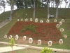cimg5142-small