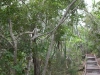CIMG2957 (Small).JPG